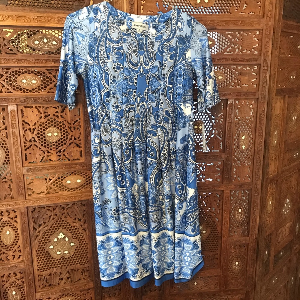 Blue Paisley Dress